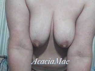 AcaciaMae