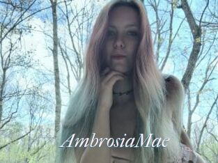 AmbrosiaMae