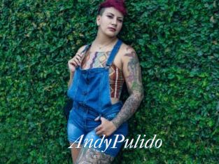 AndyPulido