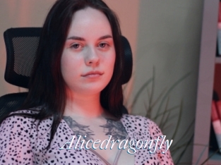 Alicedragonfly