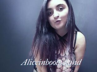Aliceinboobieland