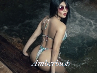 Amberbush