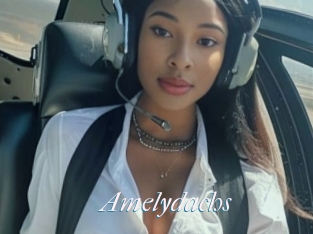 Amelydachs