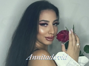 Annitadavid