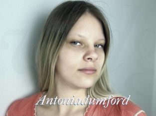 Antoniadumford