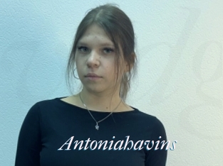 Antoniahavins