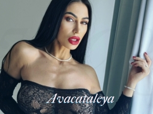 Avacataleya