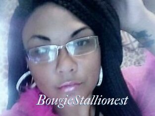 BougieStallionest