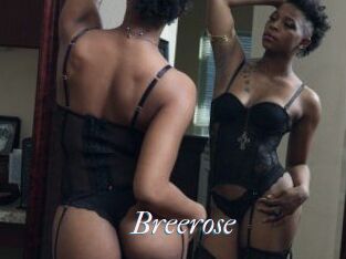 Breerose