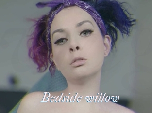 Bedside_willow