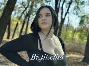 Bigtitselisa