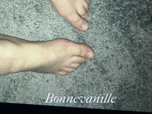 Bonnevanille
