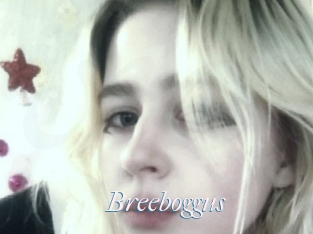 Breeboggus