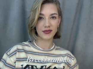 Breechambless