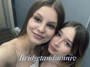 Bridgetandsunniv