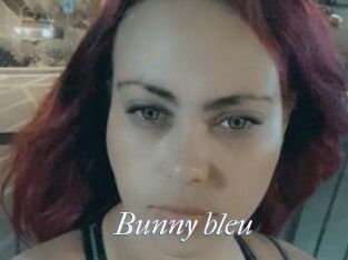 Bunny_bleu