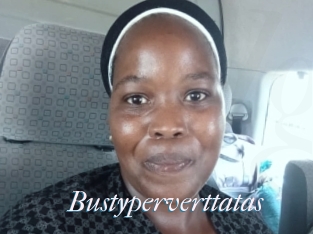 Bustyperverttatas