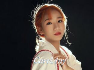 CarelAny
