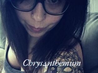 Chrys4nthemum