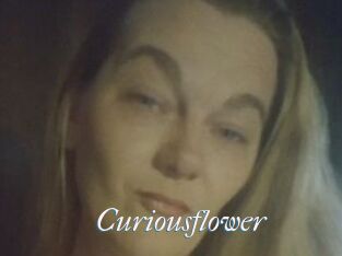 Curiousflower