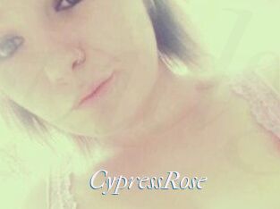 Cypress_Rose