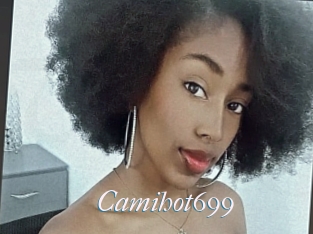 Camihot699