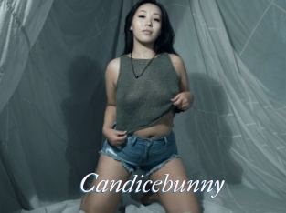 Candicebunny