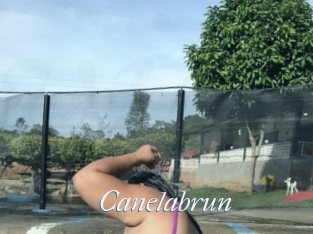Canelabrun