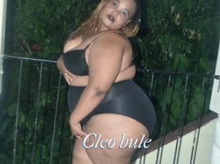 Cleo_bule