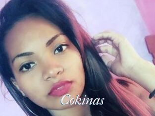 Cokinas