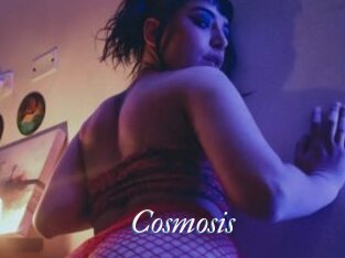 Cosmosis