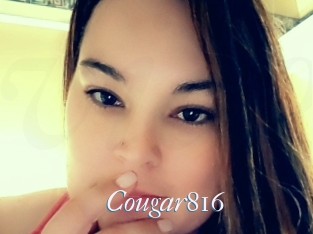 Cougar816