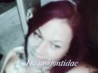 Desmodontidae