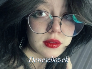 Denesebozek