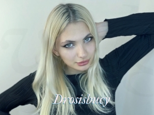 Drosisbucy