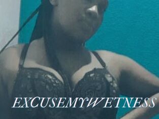 EXCUSEMYWETNESS