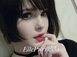 EllePurrsXO