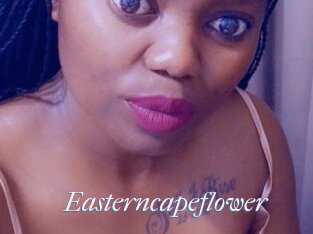 Easterncapeflower