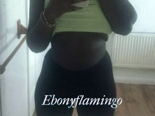 Ebony_flamingo