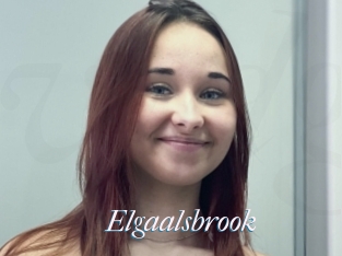 Elgaalsbrook