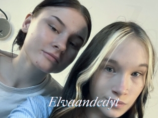 Elvaandedyt