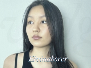 Elvinaborer