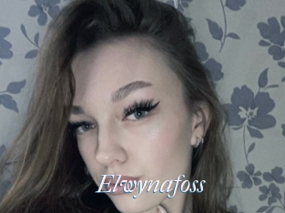 Elwynafoss