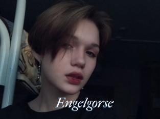 Engelgorse
