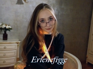 Erlenefigge