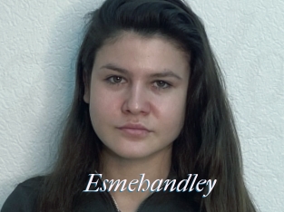 Esmehandley