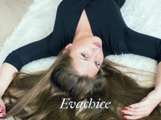 Evachice