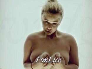 FoxLice
