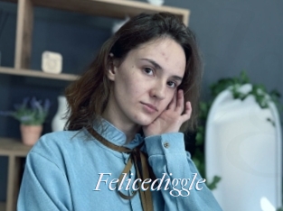 Felicediggle