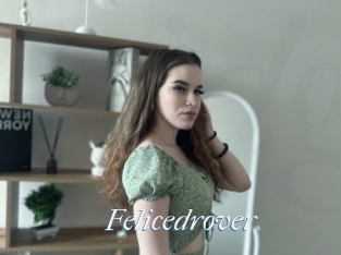 Felicedrover